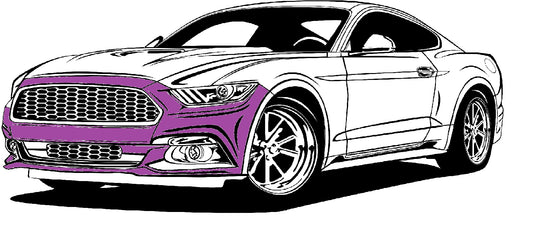 Bumper Paint Protection Film (+ $359)